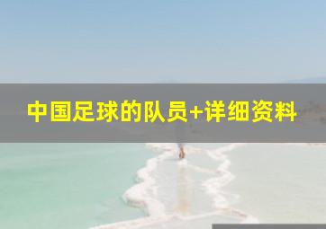 中国足球的队员 详细资料